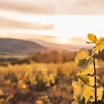 Semesterbostad Aux Cerfs Des Vignes - Groupe