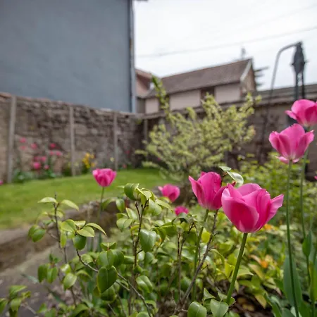 Aux Cerfs Des Vignes - Groupe *