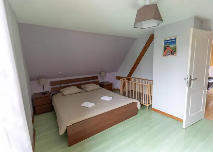 Aux Cerfs Des Vignes - Groupe * Scherwiller