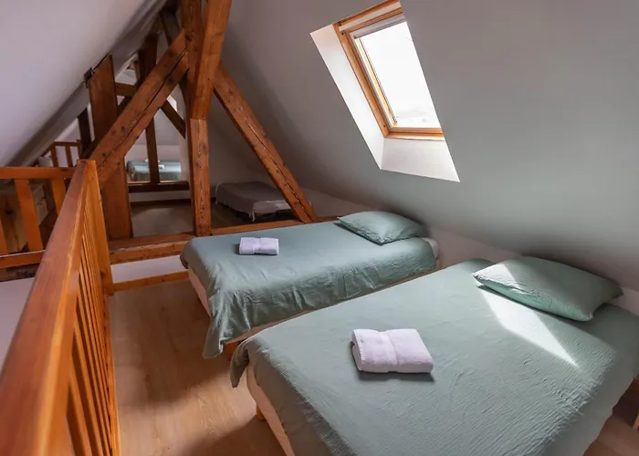 Aux Cerfs Des Vignes - Groupe